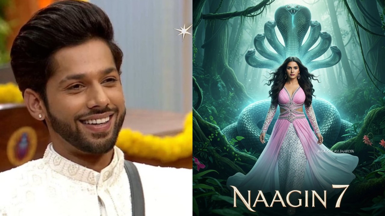 Bigg Boss 19's Baseer Ali To Feature In Ekta Kapoor's Naagin 7? Here's What Reports Say 973908