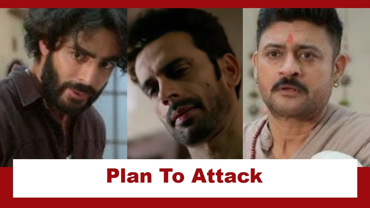 Binddii Upcoming Twist: Aviraj and Bhaiyaji plan an attack on Sharad; Will Sharad die? 972591