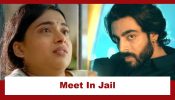 Binddii Upcoming Twist: Aviraj to meet Kajal in jail; major drama to ensue 971575