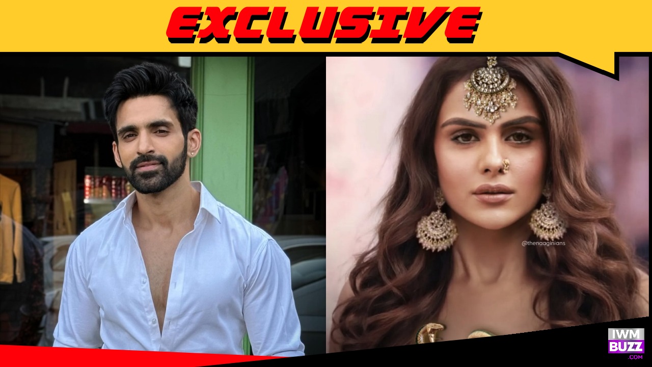 Exclusive: After Exiting Jhanak, Arjit Taneja In Talks For A Lead Role In Naagin 7? 970782