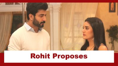 Jaane Anjaane Hum Mile Upcoming Twist: OMG!! Rohit proposes Reet at the party; Reet gets shocked