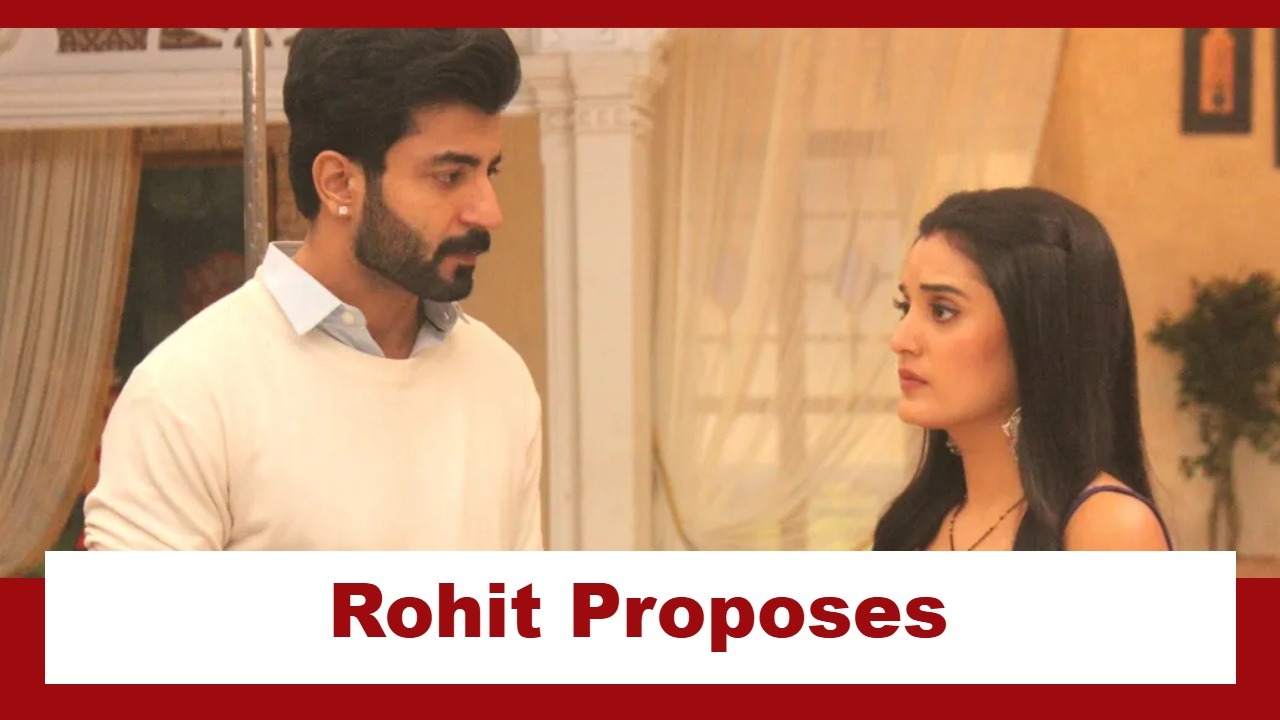 Jaane Anjaane Hum Mile Upcoming Twist: OMG!! Rohit proposes Reet at the party; Reet gets shocked 974498