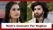 Jaane Anjaane Hum Mile Upcoming Twist: Raghav gets sick; Reet worries over his health 973530