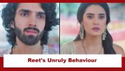 Jaane Anjaane Hum Mile Upcoming Twist: Reet's unruly behaviour at the dining table angers Raghav; Why does Reet do so? 973995