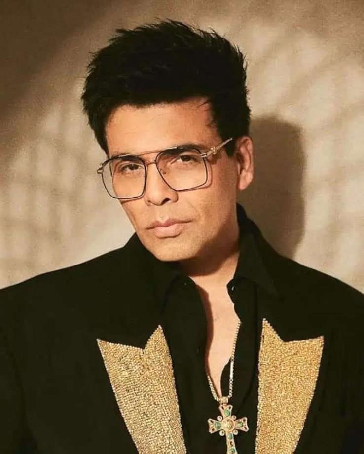 Karan Johar will no longer do movies like Homebound: Is independent impactful cinema dead in India? 972793