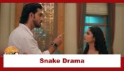 Mangal Lakshmi - Lakshmi Ka Safar Upcoming Twist: Snake Drama: Kartik in danger; Can Lakshmi save him? 974406