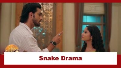 Mangal Lakshmi – Lakshmi Ka Safar Upcoming Twist: Snake Drama: Kartik in danger; Can Lakshmi save him?