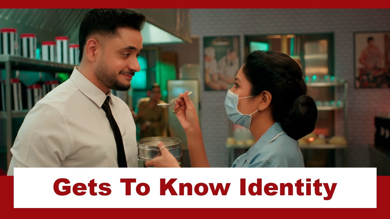 Mannat Har Khushi Paane Ki Upcoming Twist: OMG!! Vikrant gets to know his real identity; brings Vishakha home 971680