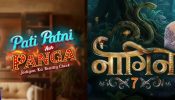 Pati Patni Aur Panga To Wrap Up Next Month, Naagin 7 Set To Take Over Time Slot [Reports] 972506