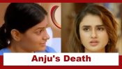 Pushpa Impossible Upcoming Twist: Anju breathes her last; spends her final moments with Dipti 972665