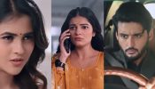 Saru Serial Spoiler: Anika Plans To Snatch Ved Away, Saru Discovers His Critical Condition 971896