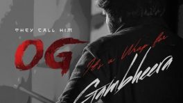 They Call Him OG Box Office Collection Day 14: Pawan Kalyan Action-Thriller Collects 186.90 Crore