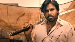 They Call Him OG Box Office Collection Day 15: Pawan Kalyan's Film Struggles To Enter 200 Crore Club