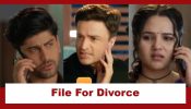 Vasudha Upcoming Twist: Karanveer forces Dev and Vasudha to file for divorce; rejoices in their separation 973437