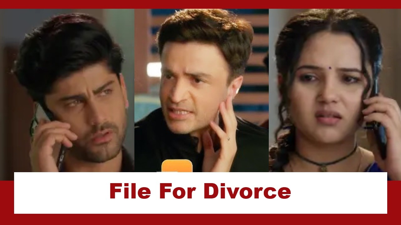 Vasudha Upcoming Twist: Karanveer forces Dev and Vasudha to file for divorce; rejoices in their separation 973437