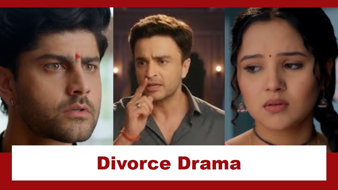 Vasudha Upcoming Twist: OMG!! Karanveer forces Dev and Vasudha to take a divorce; How will they handle the crisis? 973294