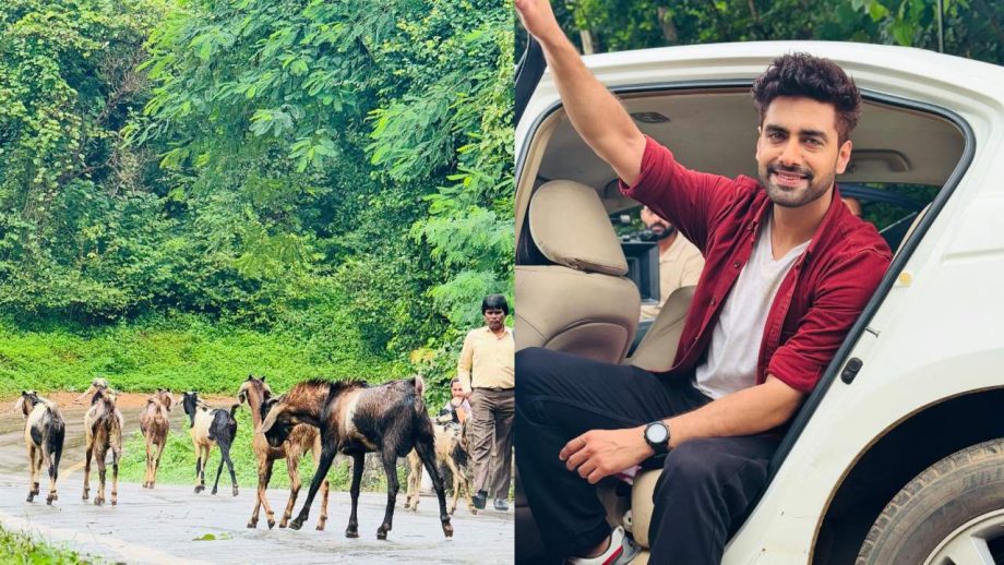 YRKKH's Rohit Purohit Shares Fun “Billi Family” Moment With Samridhii & Urva 970915