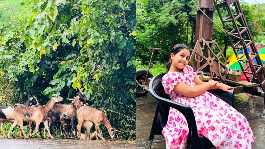 YRKKH's Rohit Purohit Shares Fun “Billi Family” Moment With Samridhii & Urva 970916