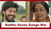 Ganga Mai Ki Betiyan Upcoming Twist: OMG!! Siddhu saves the day for Ganga Mai; exposes Kaali before the Panchayat