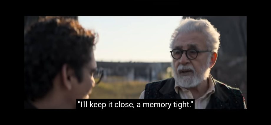 Gustaakh Ishq Review: Romance Gets Diced Between Words 977846