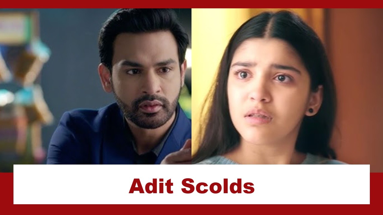 Mangal Lakshmi Upcoming Twist: Adit scolds Ishana for her mistake; Adit gets overprotective of Saumya 974839