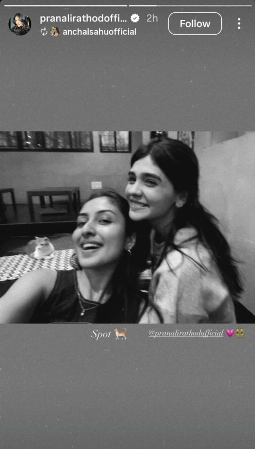 Pranali Rathod, Aanchal Sahu Spend A Wholesome Day With Furry Friends – See Pics 976987