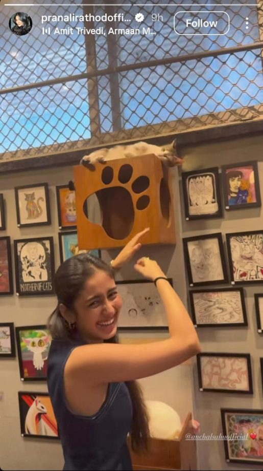 Pranali Rathod, Aanchal Sahu Spend A Wholesome Day With Furry Friends – See Pics 976985