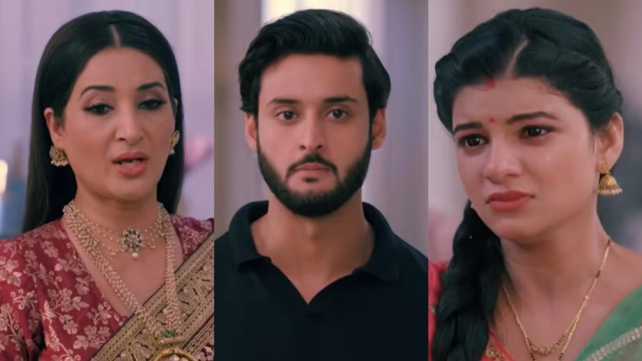 Saru Serial Spoiler: Saru Blocks Tara From Insulting Saroja; Ved Orders Saru To Apologise 976811