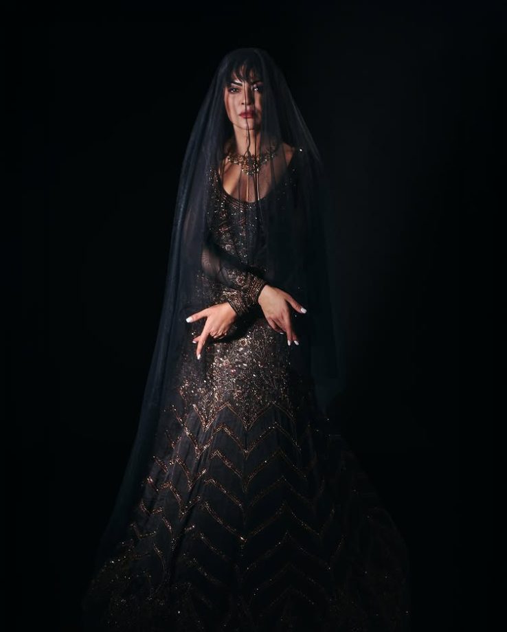 Sushmita Sen Redefines Fierce Royal Glamour in Midnight Embellished Couture 974675