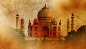 The Taj Story Day 20 Box Office Collection: Film Barely Inches Forward as Its Theatrical Run Nears Closure 976756
