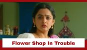 Udne Ki Aasha Upcoming Twist: Sailee’s flower shop in dire trouble; Sachin gets into a tiff with the police