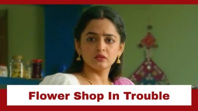 Udne Ki Aasha Upcoming Twist: Sailee’s flower shop in dire trouble; Sachin gets into a tiff with the police
