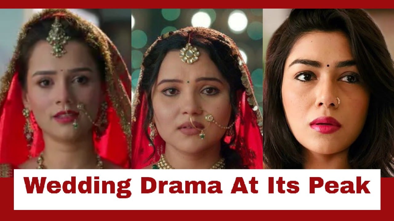 Vasudha Upcoming Twist: Injured Nandini stops Dev-Vidhi's wedding; Can Dev and Vasudha get together now? 976806