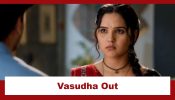 Vasudha Upcoming Twist: Karanveer succeeds in his mission; separates Vasudha from Chauhan house