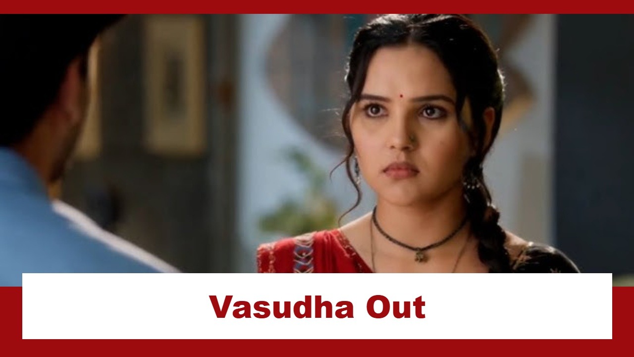 Vasudha Upcoming Twist: Karanveer succeeds in his mission; separates Vasudha from Chauhan house 975198