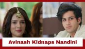 Vasudha Upcoming Twist: OMG!! Haldi drama kickstarts; Avinash decides to kidnap Nandini