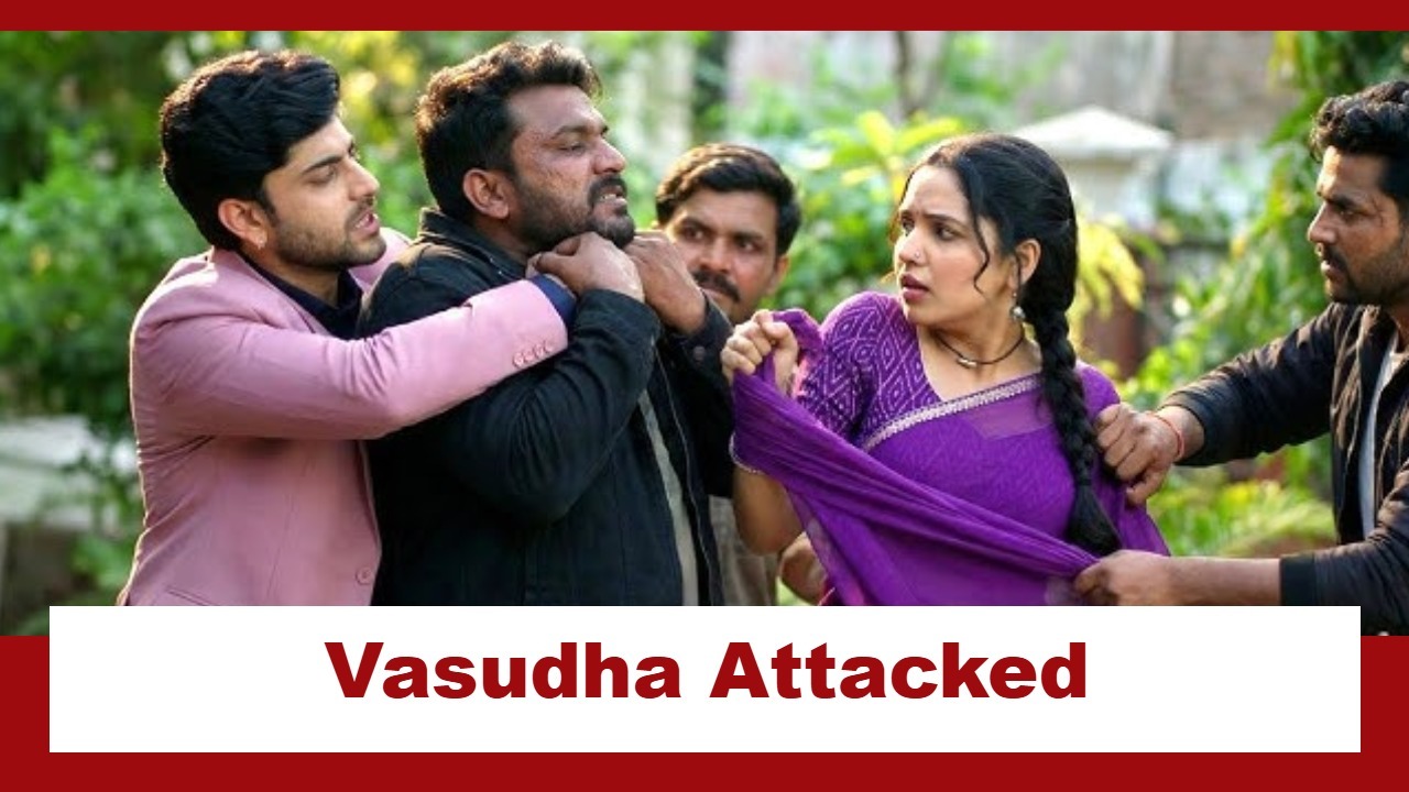 Vasudha Upcoming Twist: OMG!! Vasudha gets attacked; Dev gets to know a shocking truth 977770