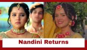 Vasudha Upcoming Twist: Vasudha blamed for Nandini’s kidnap; Nandini returns to save Vasudha