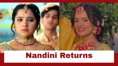 Vasudha Upcoming Twist: Vasudha blamed for Nandini’s kidnap; Nandini returns to save Vasudha