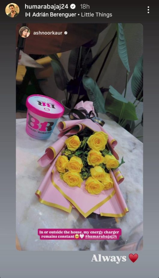 Abhishek Bajaj Meets Ashnoor Kaur After Latter's Eviction, Calls Her His 'Sukoon' 978183