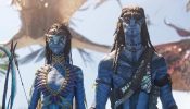 Avatar: Fire and Ash Day 6 Box Office Collection: Film Remains Strong on First Wednesday 980768