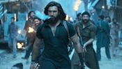 Dhurandhar Box Office Collection Day 8: Ranveer's Film Enters 2nd Week With A Bang, Total Crosses 250 Crore 979689