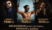 Dhurandhar Crosses Lifetime India Collections of Animal, Sets New Box Office Benchmark 980506