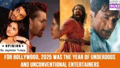 For Bollywood, 2025 was the year of underdogs and unconventional entertainers