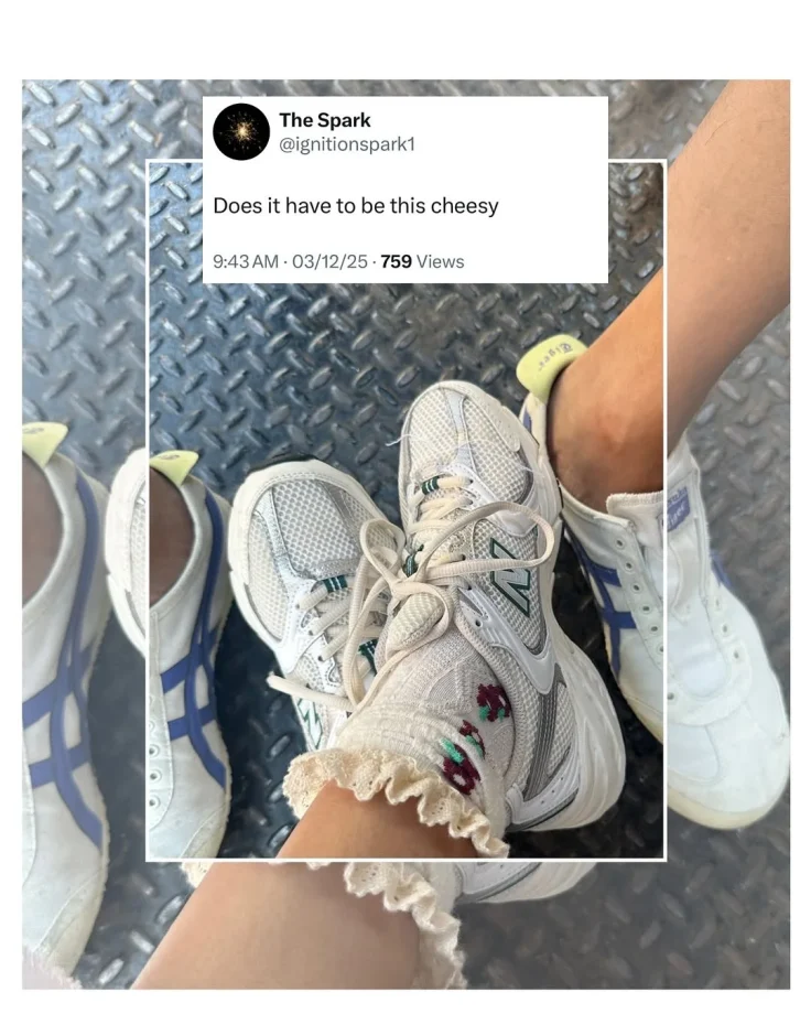 Kritika Kamra Confirms Dating Rumours, Shares Adorable Post With Cricket Host Gaurav Kapur 979322