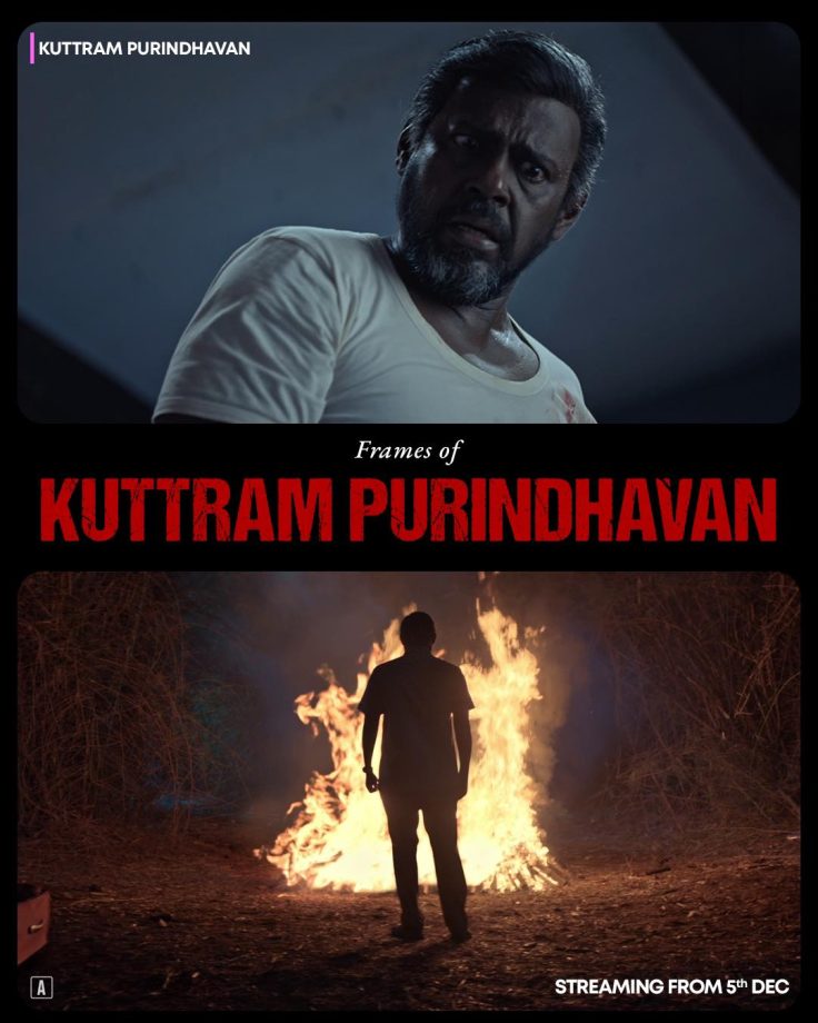 OTT Releases This Week: What’s New on Your Favourite Platforms 978464