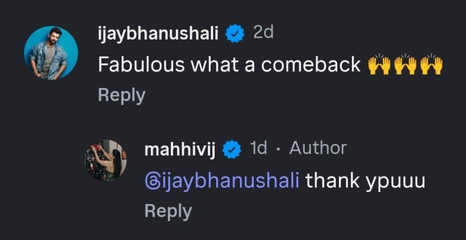 Seher Hone Ko Hai's Mahhi Vij Wishes Peace & Family This Christmas Amid Divorce Buzz With Jay Bhanushali 980748