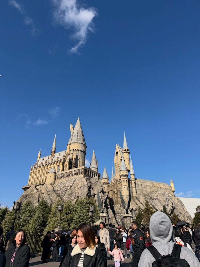 Sneak Peek Into Rubina Dilaik & Abhinav Shukla's Gateway To Magical World Of Harry Potter 980883