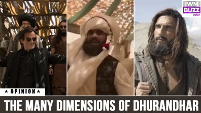 The Many Dimensions Of Dhurandhar