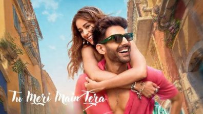 Tu Meri Main Tera Main Tera Tu Meri Box Office Collection: Kartik’s Film Struggles, Total Nears 30 Cr On Day 6